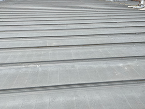 Metal Roofing Services2