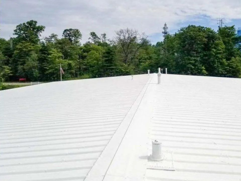 Metal Roofing